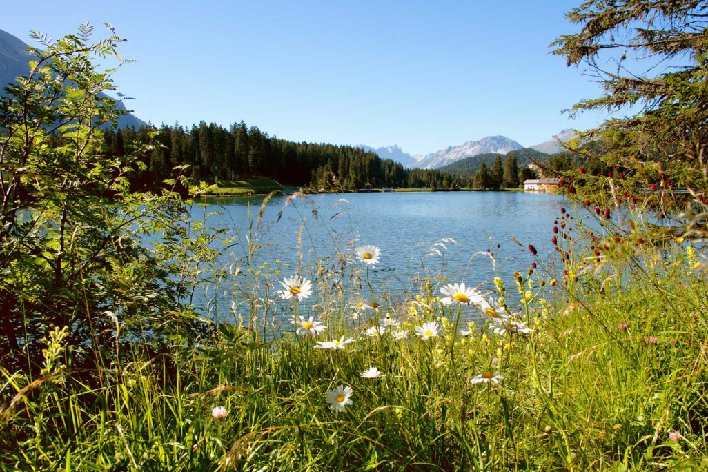 Symbolbild Landschaft